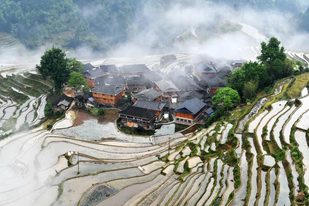 2025新澳门原料免费更新平台