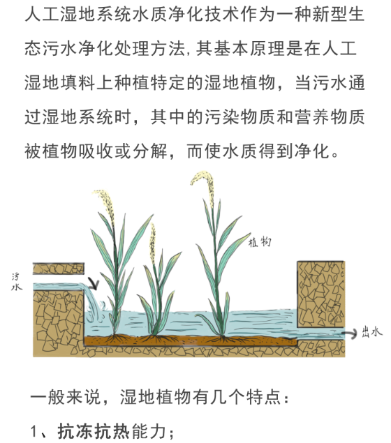 2025新澳门原料免费更新平台