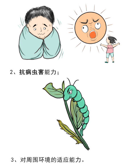 2025新澳门原料免费更新平台