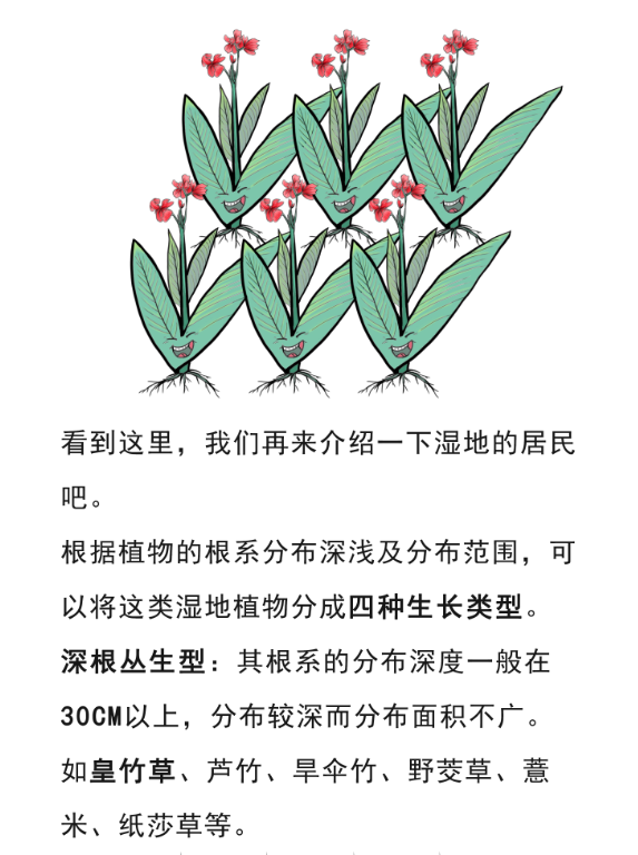 2025新澳门原料免费更新平台