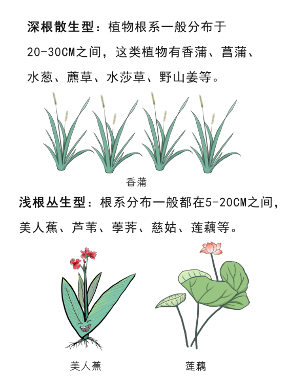 2025新澳门原料免费更新平台