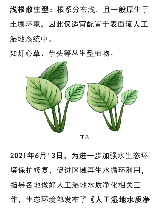 2025新澳门原料免费更新平台