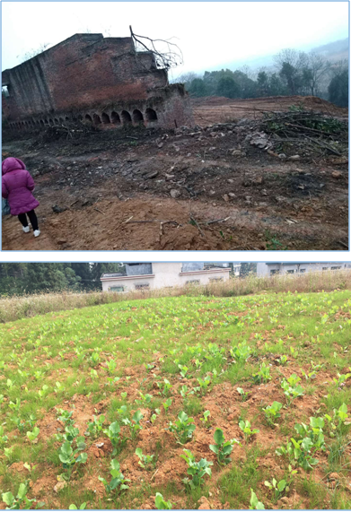 2025新澳门原料免费更新平台