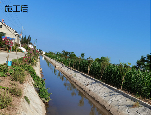 2025新澳门原料免费更新平台