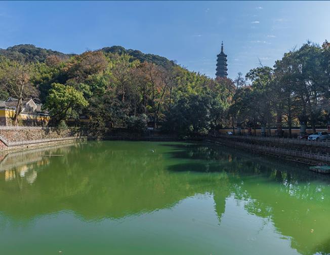 2025新澳门原料免费更新平台